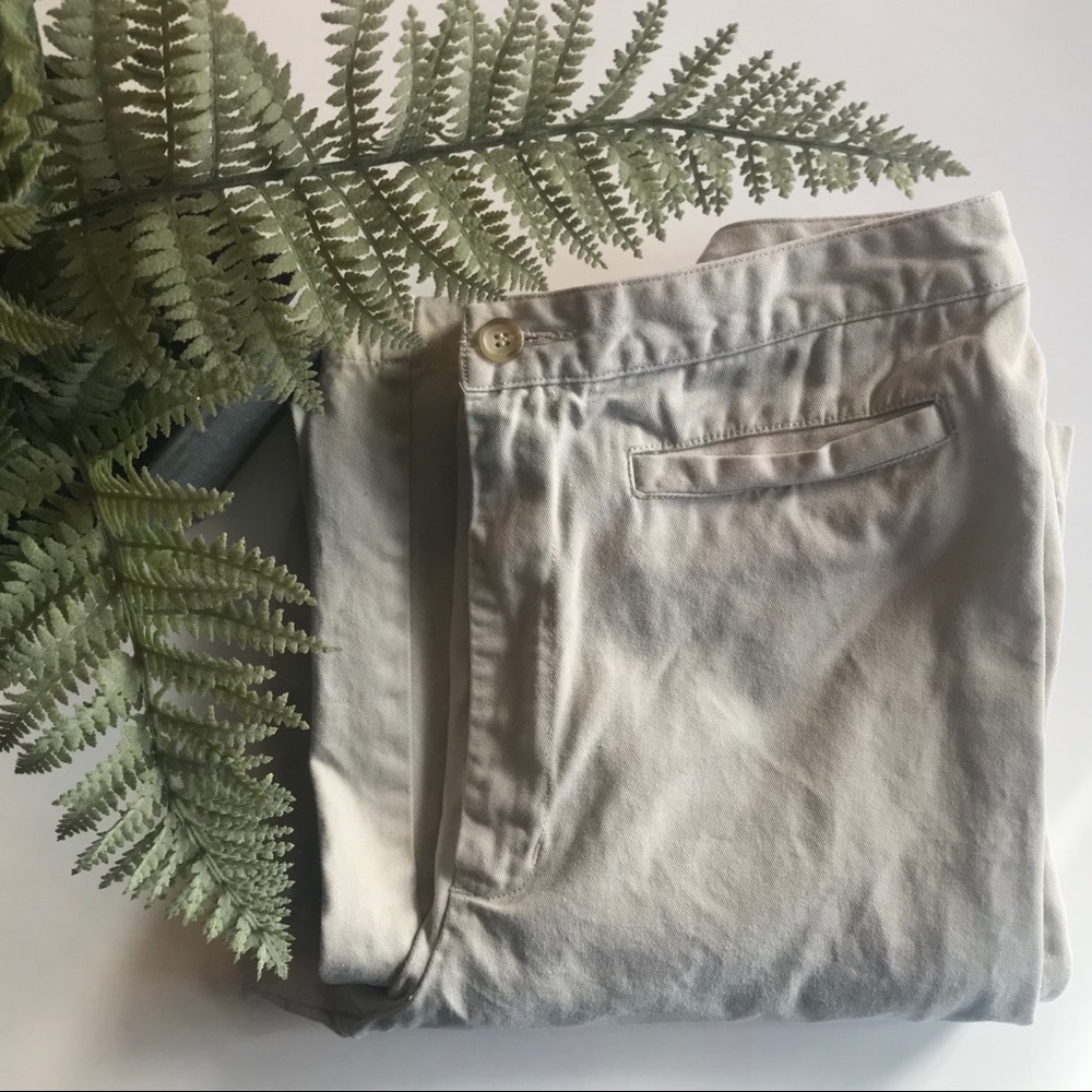 Limited Chino Khaki Pants- 10